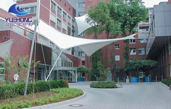 �T��Ĥ�Y��